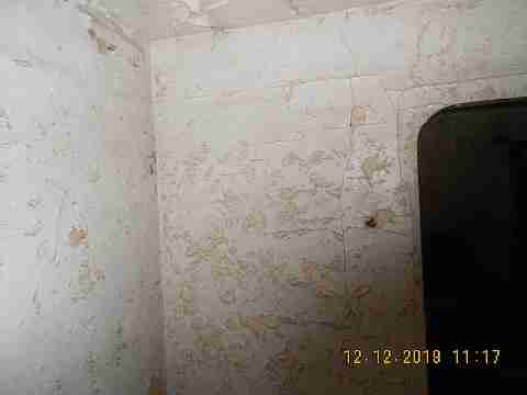 5529 Joy 2nd trip (20)_m.jpg